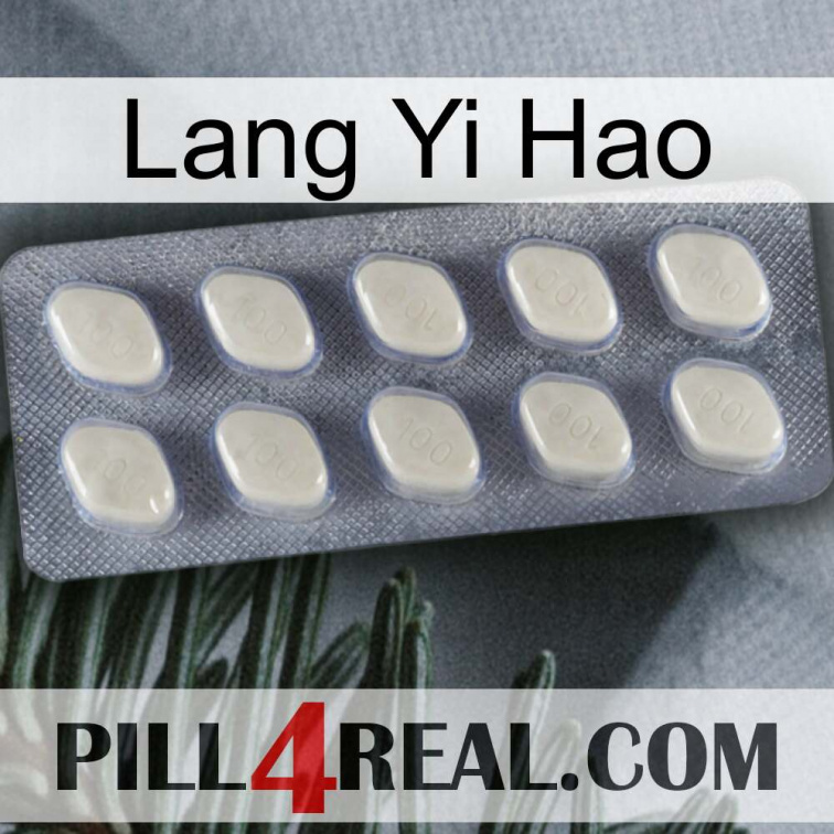 Lang Yi Hao 08